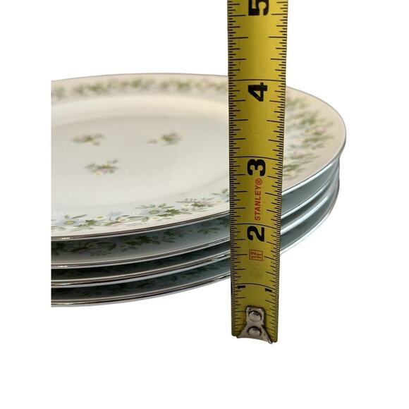 4 Johann Haviland “Forever Spring” 10” Dinner Plates Porcelain Germany EUC - Picture 5 of 16